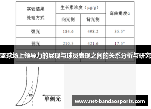 篮球场上领导力的展现与球员表现之间的关系分析与研究