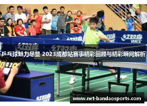 乒乓球魅力尽显 2023成都站赛事精彩回顾与精彩瞬间解析