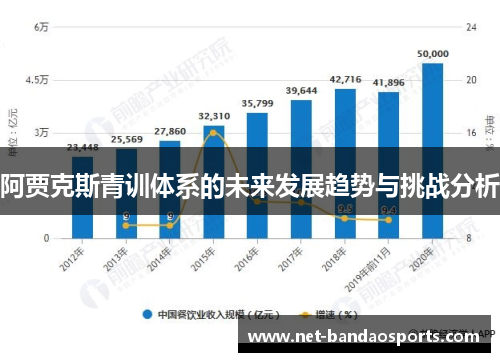 阿贾克斯青训体系的未来发展趋势与挑战分析