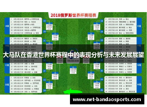 大马队在香港世界杯赛程中的表现分析与未来发展展望