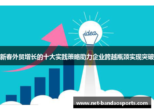 新春外贸增长的十大实践策略助力企业跨越瓶颈实现突破