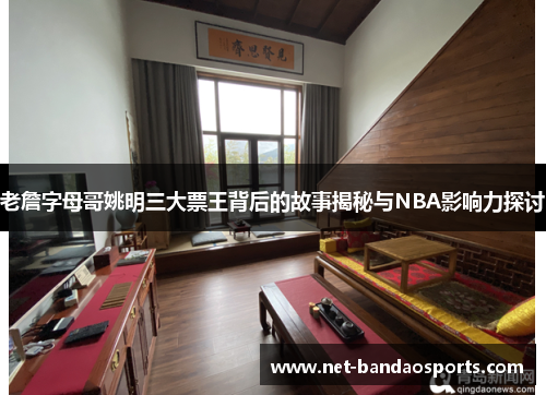 老詹字母哥姚明三大票王背后的故事揭秘与NBA影响力探讨