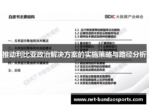 推动利比亚政治解决方案的实施策略与路径分析
