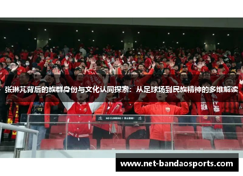 张琳芃背后的族群身份与文化认同探索：从足球场到民族精神的多维解读