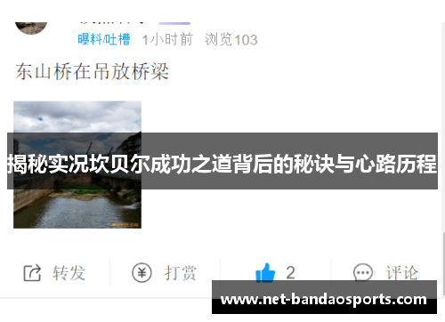 揭秘实况坎贝尔成功之道背后的秘诀与心路历程